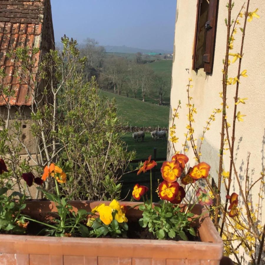 Gite Le Mur Magnifique Longere Au Bourgogne-Du-Sud Villa Oye Luaran gambar